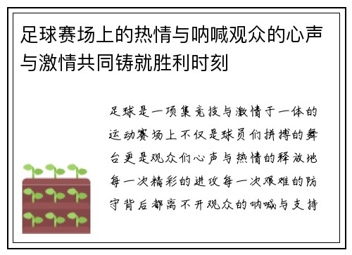 足球赛场上的热情与呐喊观众的心声与激情共同铸就胜利时刻