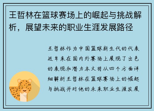 王哲林在篮球赛场上的崛起与挑战解析，展望未来的职业生涯发展路径