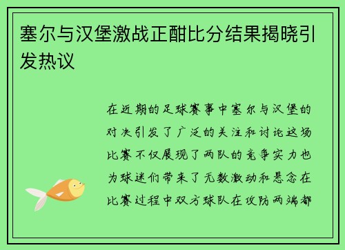 塞尔与汉堡激战正酣比分结果揭晓引发热议